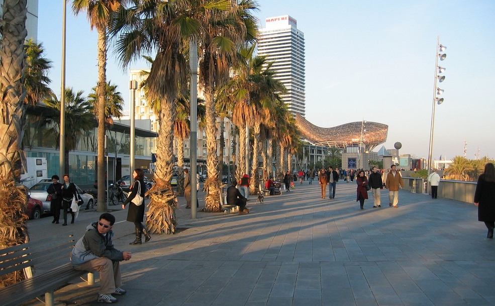 barceloneta-view-of-beautiful-palm-trees-and-boardwalk-beach-district-barcelona